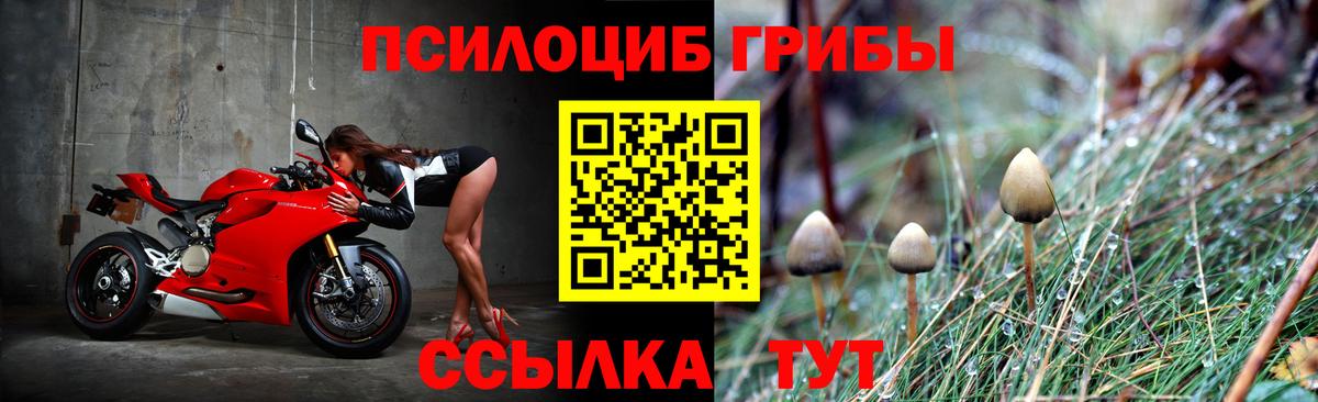 Галлюциногенные грибы мицелий Северск